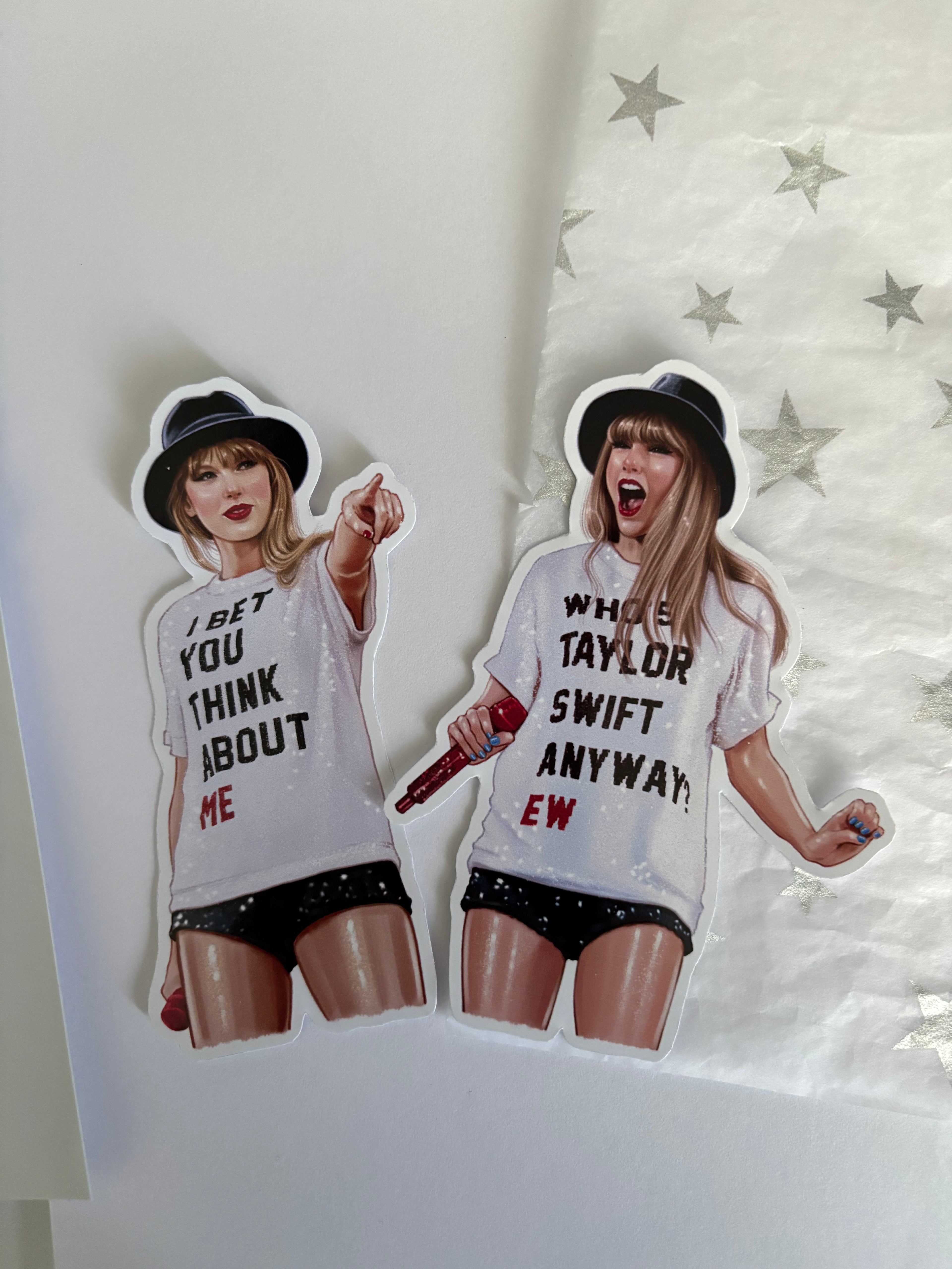 Taylor Swift Set of 2 Stickers